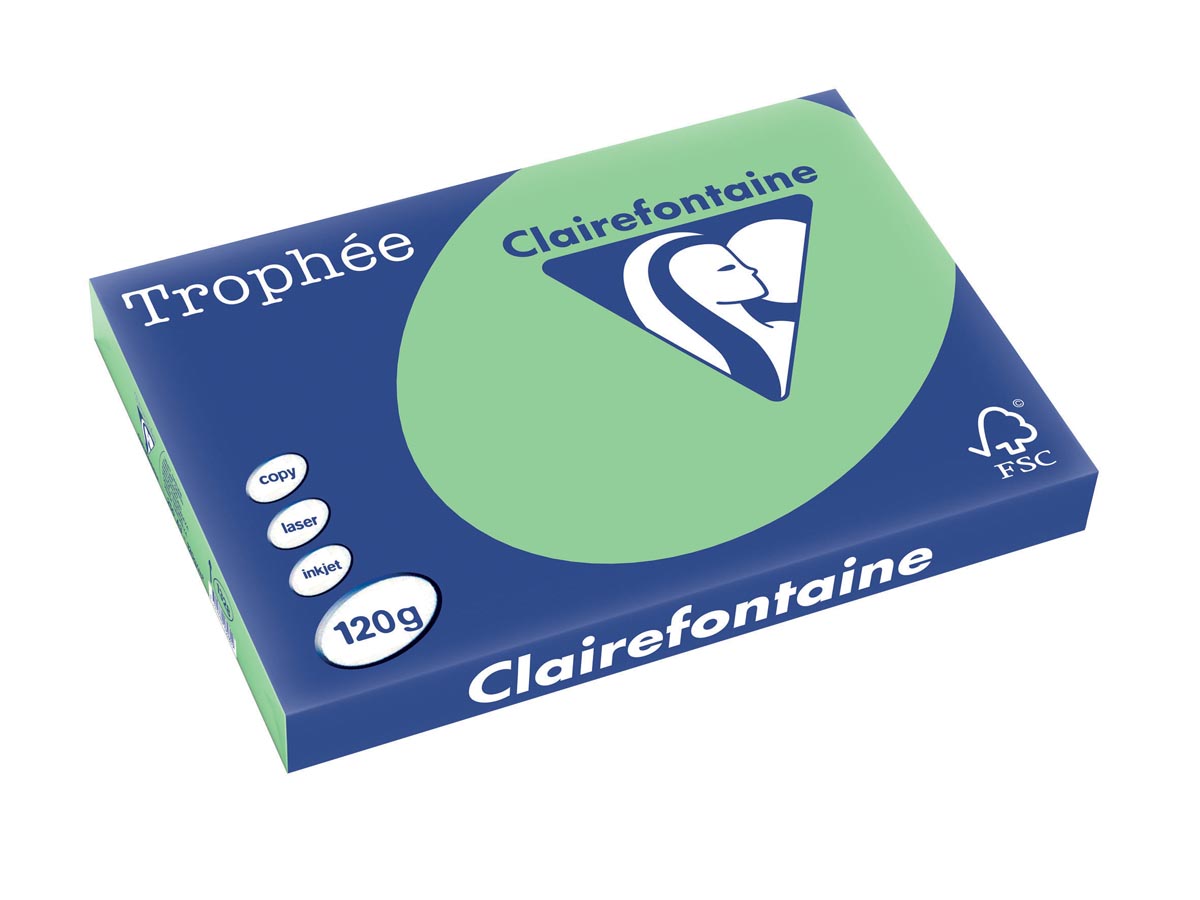 Clairefontaine Trophée Pastel, gekleurd papier, A3, 120 g, 250 vel, natuurgroen afbeelding