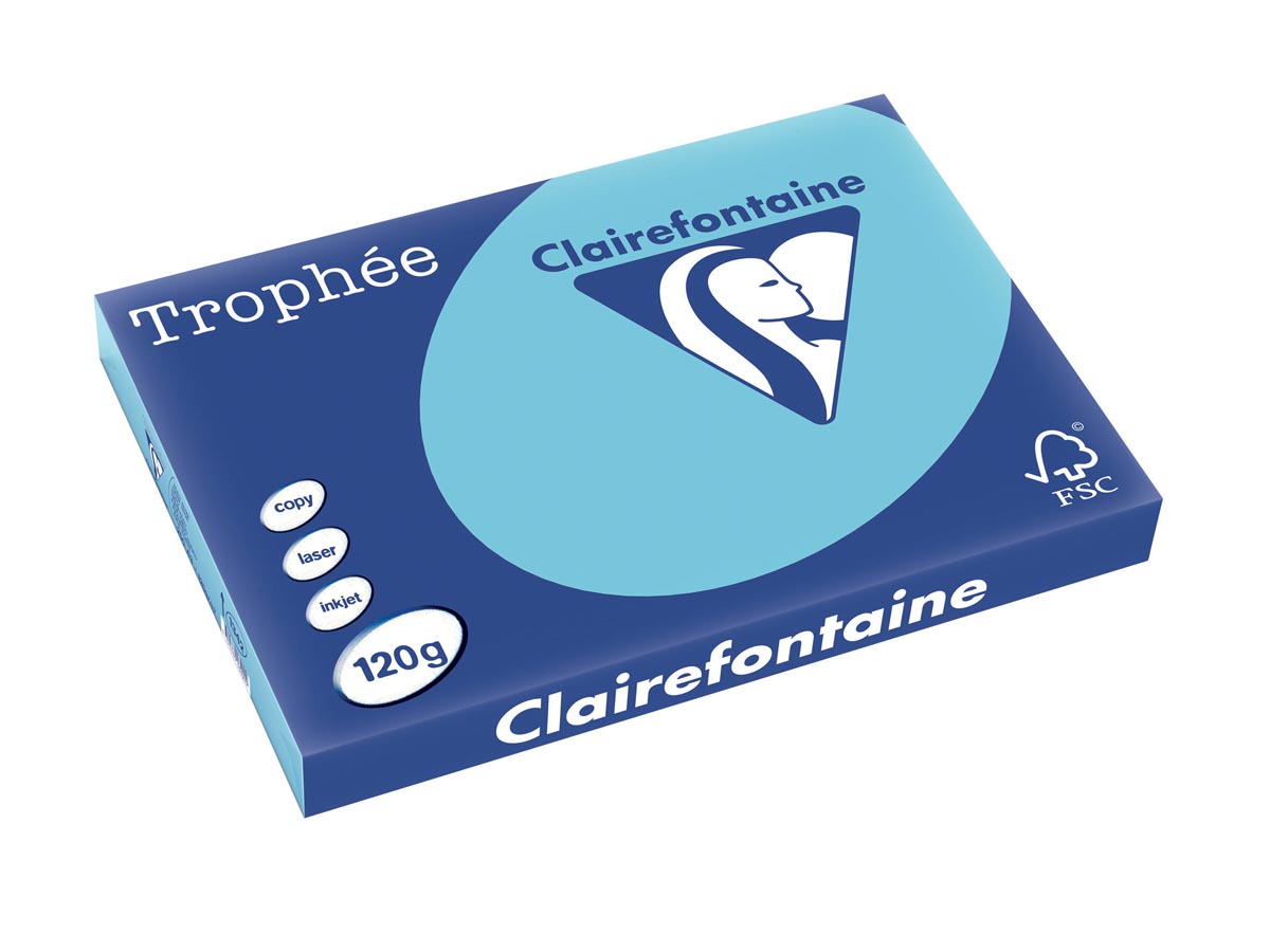 Clairefontaine Trophée Pastel, gekleurd papier, A3, 120 g, 250 vel, helblauw afbeelding