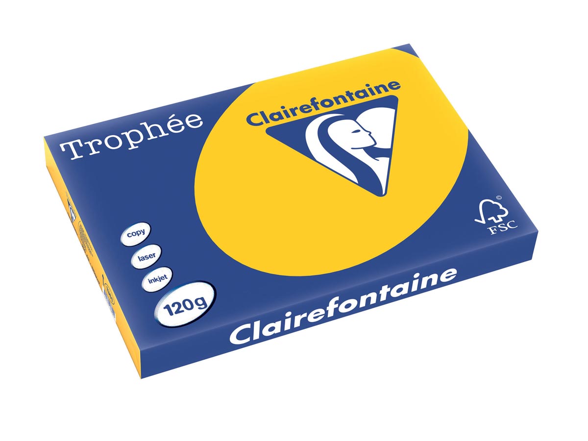 Clairefontaine Trophée Intens, gekleurd papier, A3, 120 g, 250 vel, zonnebloemgeel afbeelding