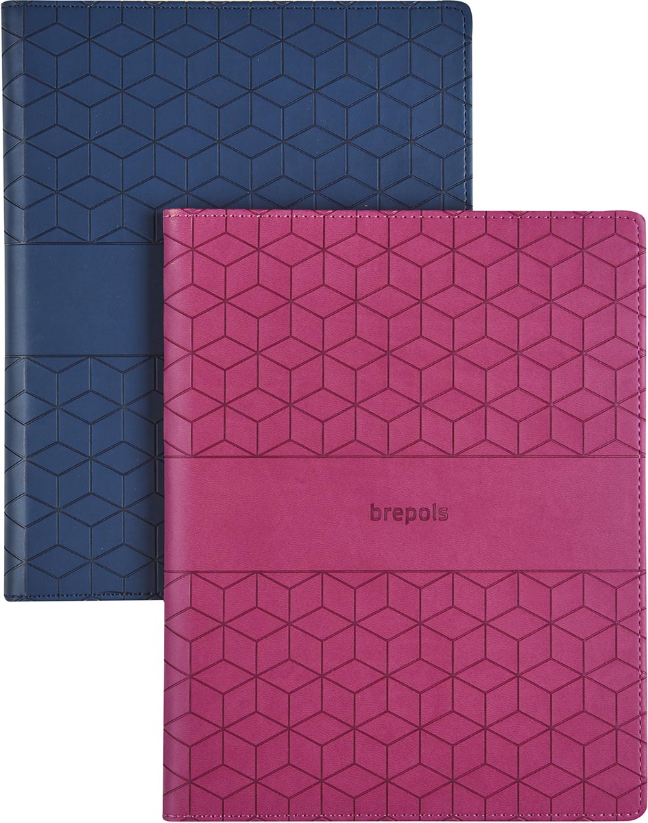 Brepols Timing Cube, assorti, 2026