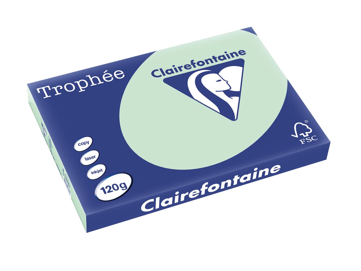 Clairefontaine Trophée Pastel, gekleurd papier, A3, 120 g, 250 vel, groen afbeelding