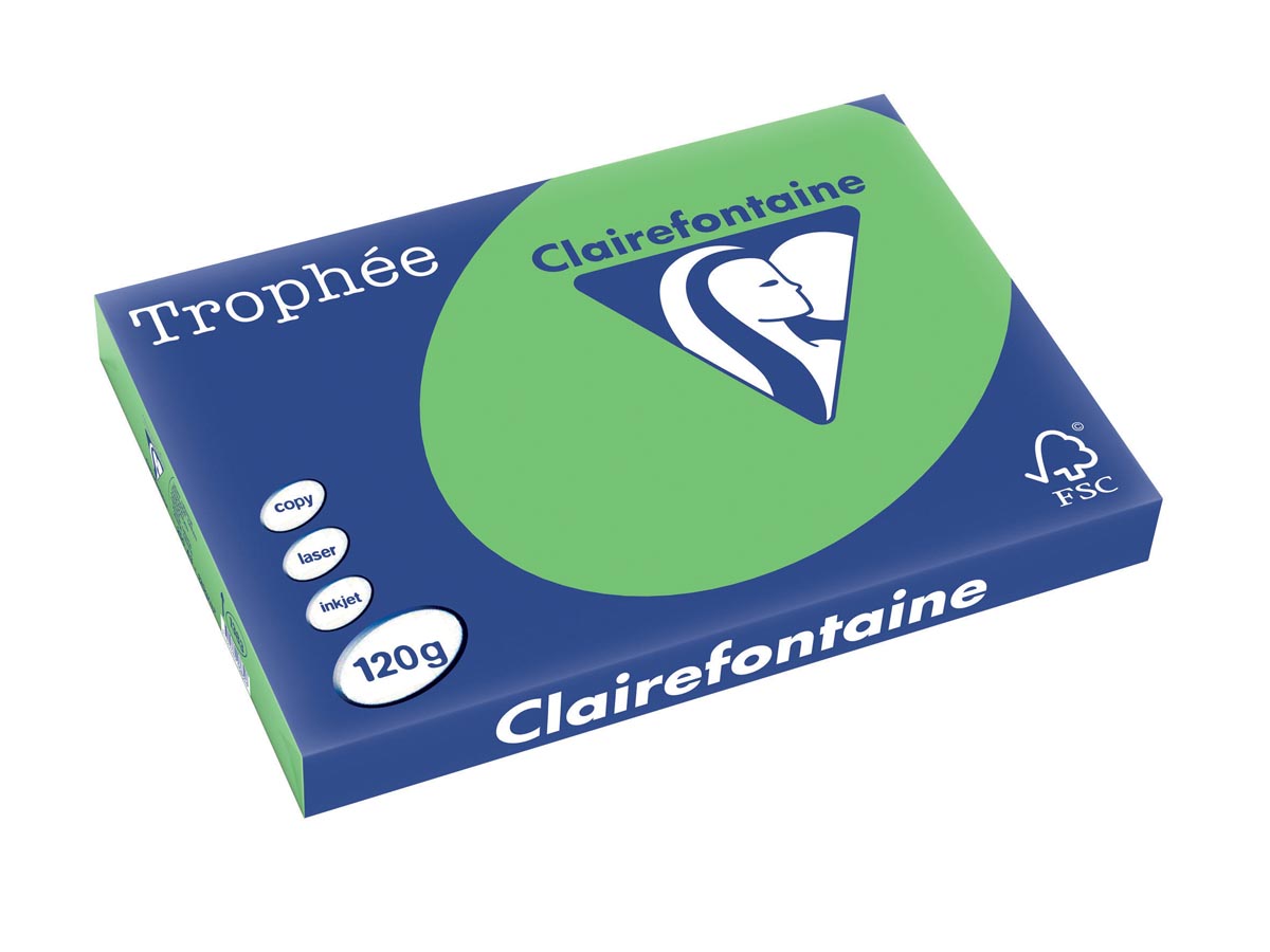 Clairefontaine Trophée Intens, gekleurd papier, A3, 120 g, 250 vel, grasgroen afbeelding