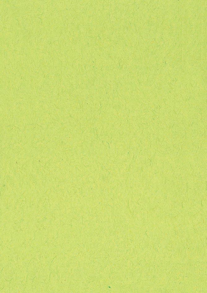 Gekleurd tekenpapier, 120 g, ft 21 x 29,7, A4, lichtgroen, pak van 500 vel afbeelding