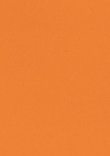 Papier à dessin coloré orange bij VindiQ Office