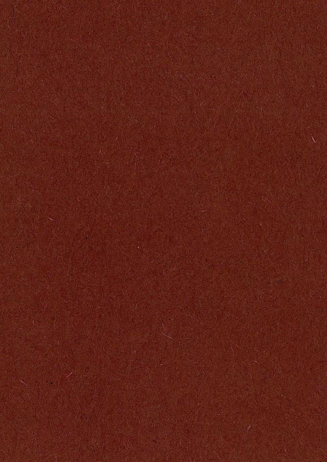 Gekleurd tekenpapier, 120 g, ft 21 x 29,7, A4, bruin, pak van 500 vel afbeelding