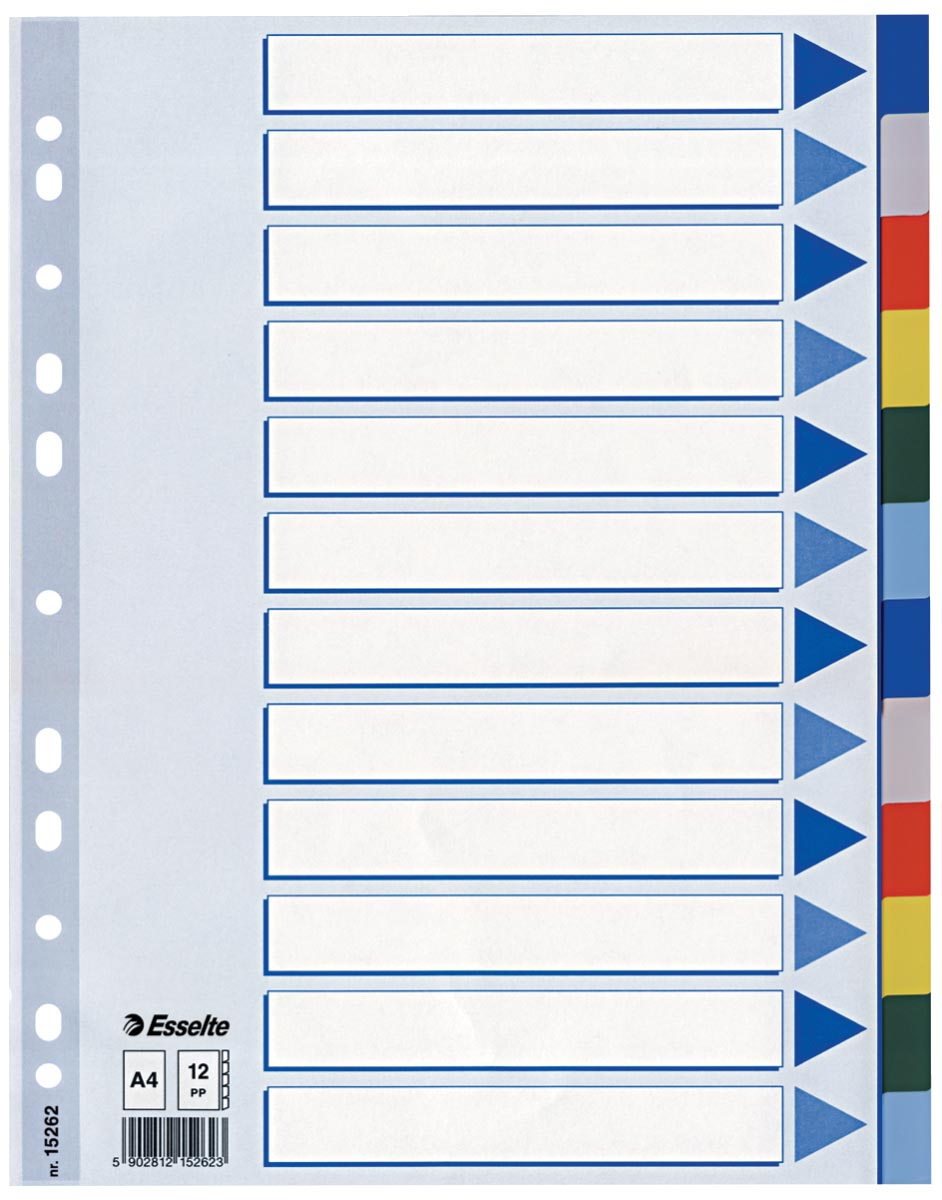 Esselte tabbladen 12 tabs afbeelding
