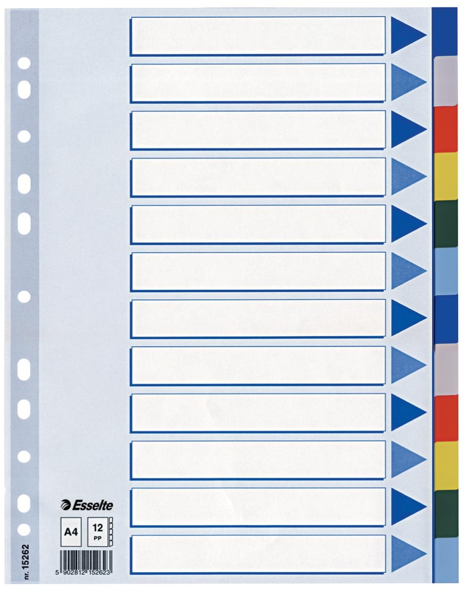 Esselte tabbladen 12 tabs