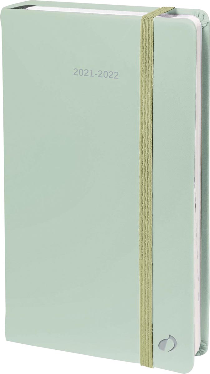 Quo Vadis maandplanner Plan Month Pastel, pastelgroen, 2022 Quo Vadis maandplanner Plan Month Pastel, pastelgroen, 2022