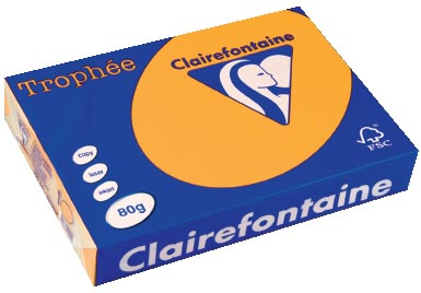 Clairefontaine Trophée Pastel A4, 80 g, 500 vel, goudgeel