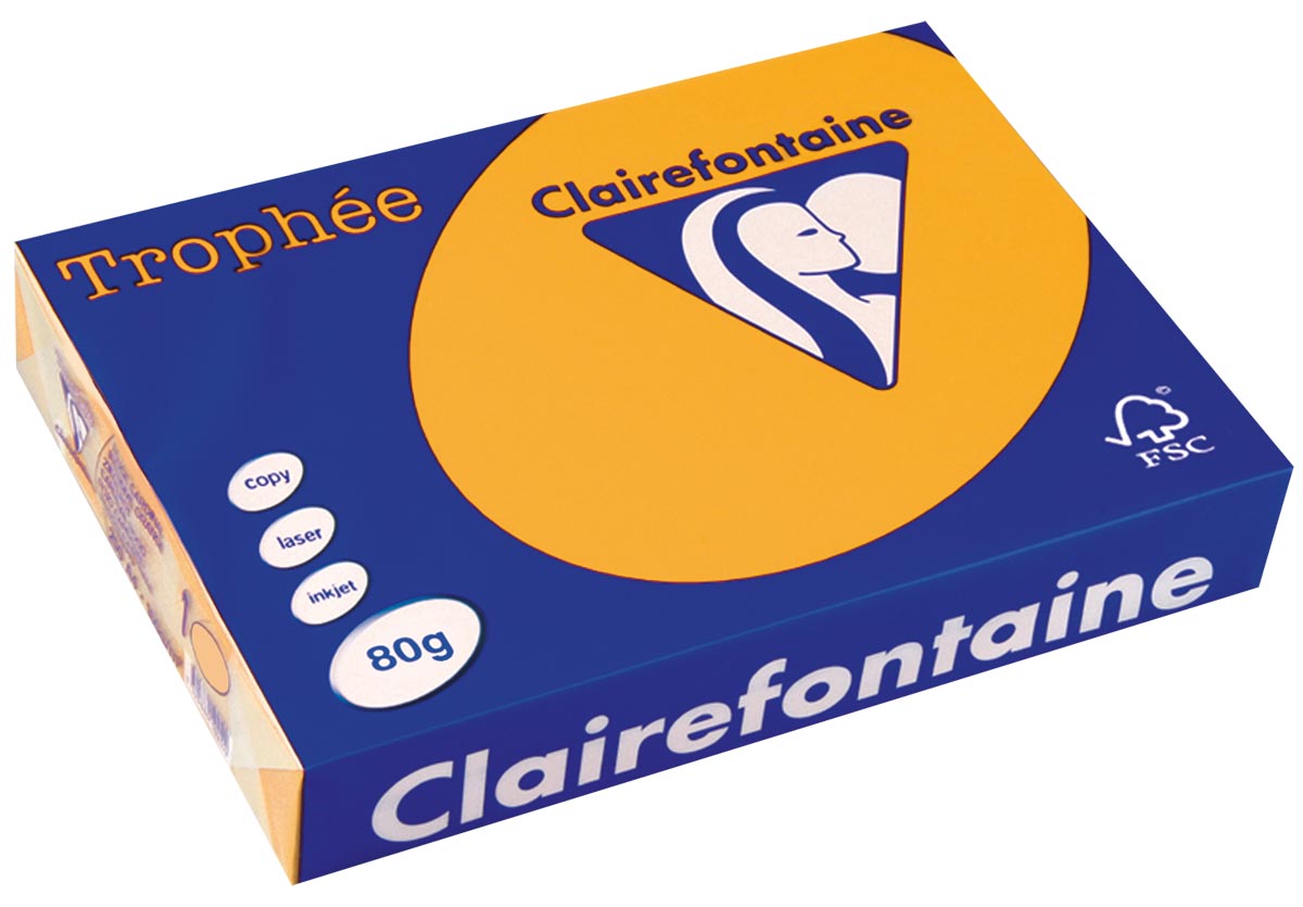 Clairefontaine TrophÃÂ©e Pastel gekleurd papier A4 80 g 500 vel goudgeel