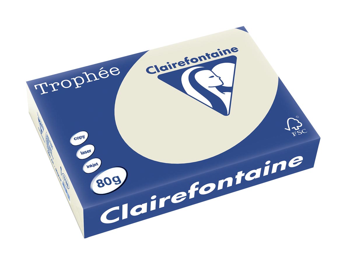 Clairefontaine Trophée Pastel A4, 80 g, 500 vel, parelgrijs