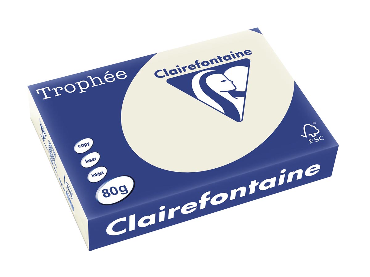 Clairefontaine Trophée gekleurd papier, A4, 80 g, 500 vel, parelgrijs afbeelding