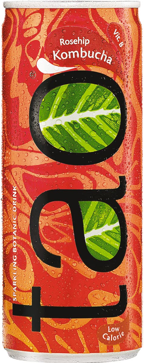 Tao Botanic Kombucha, blik van 25 cl, pak van 24 stuks Tao Botanic Kombucha, blik van 25 cl, pak van 24 stuks