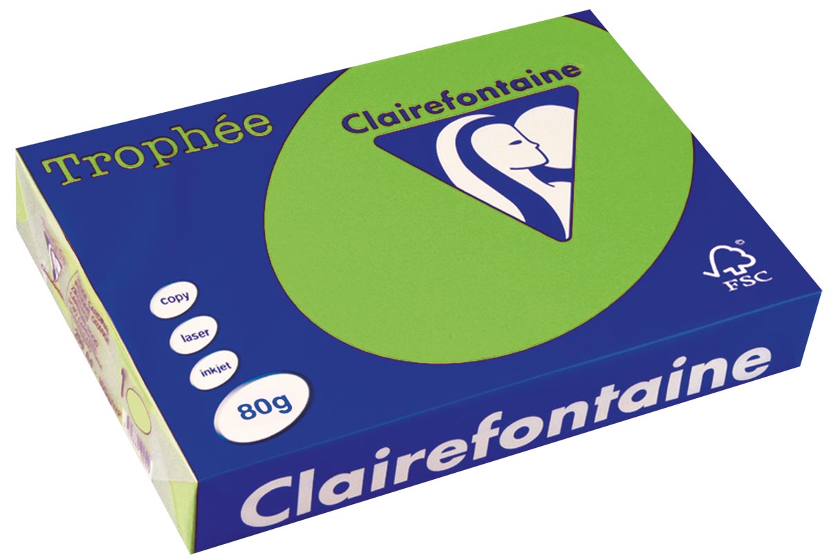 Clairefontaine Trophée Intens, gekleurd papier, A4, 80 g, 500 vel, muntgroen afbeelding