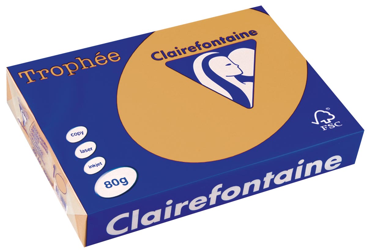 Clairefontaine Trophée gekleurd papier A4 80 g 500 vel mokkabruin
