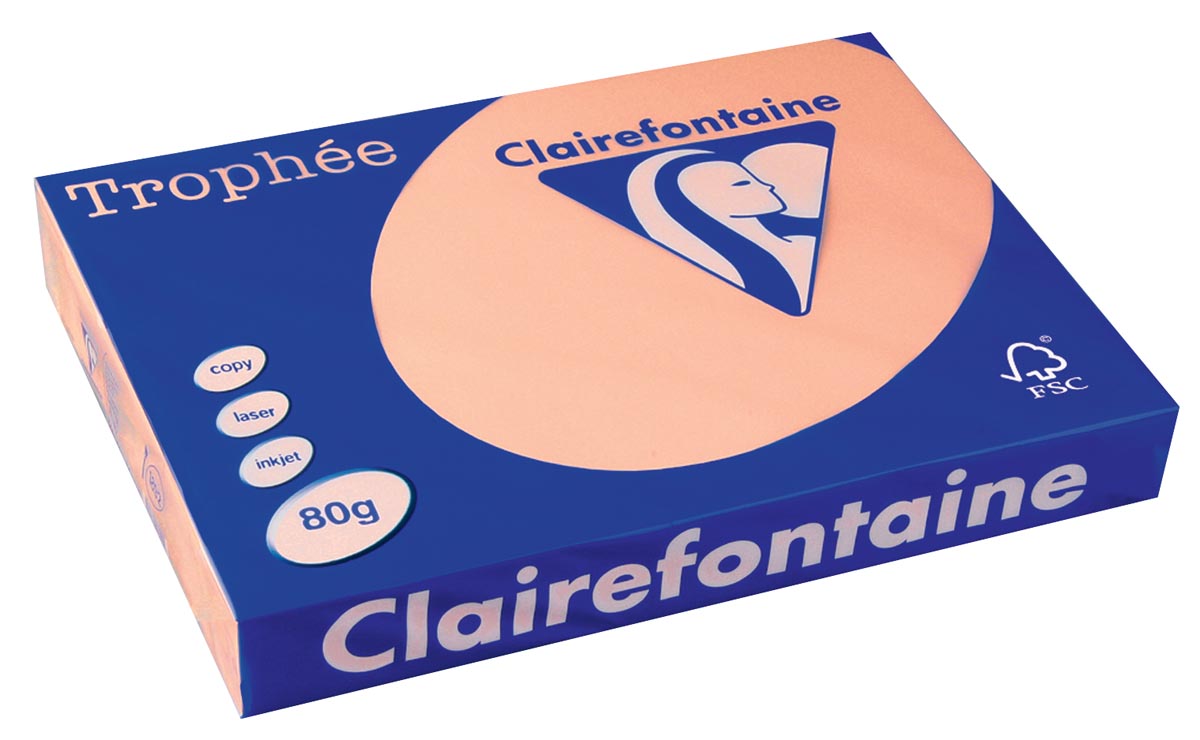 Clairefontaine Trophée Pastel, gekleurd papier, A3, 80 g, 500 vel, zalm afbeelding