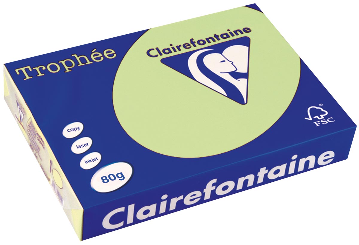 Clairefontaine Trophée gekleurd papier, A4, 80 g, 500 vel, groen afbeelding