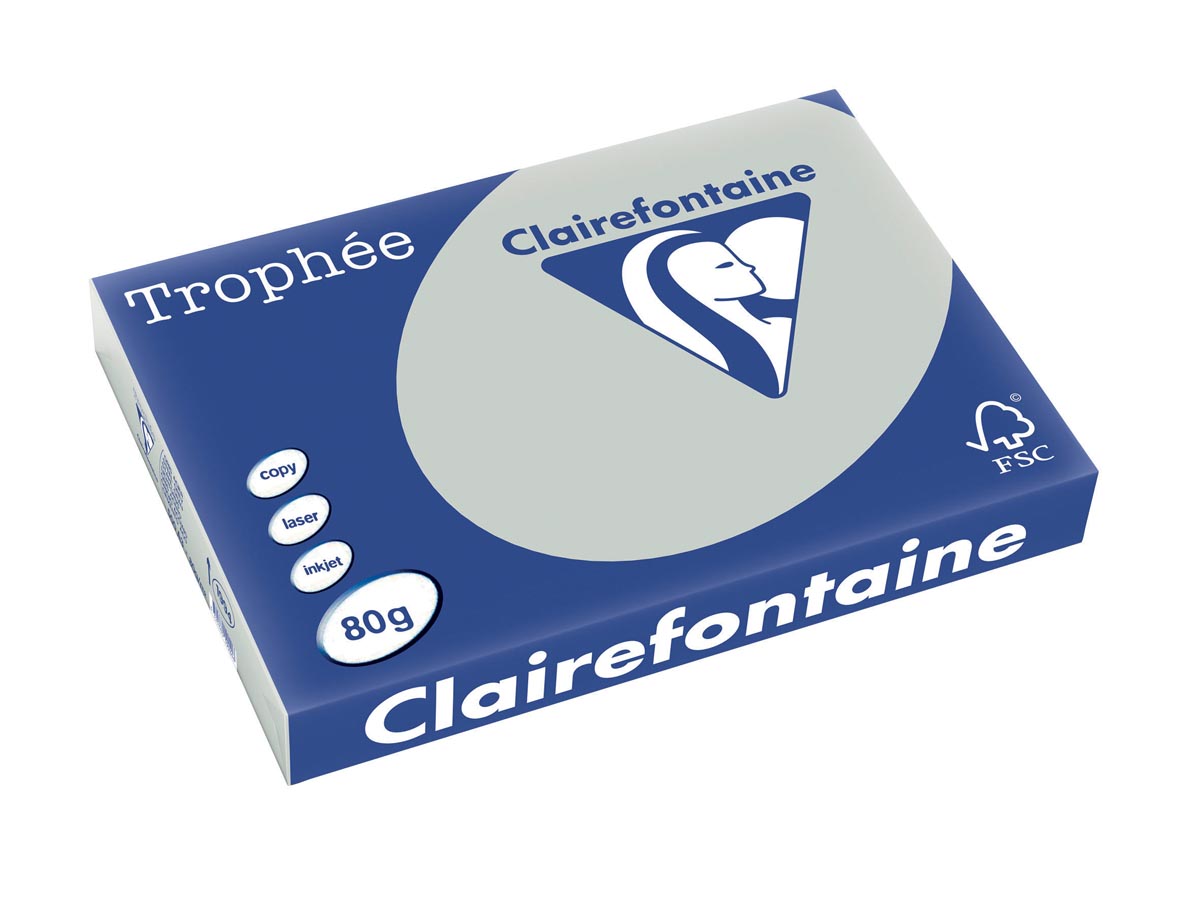 Clairefontaine Trophée Pastel, gekleurd papier, A3, 80 g, 500 vel, lichtgrijs afbeelding