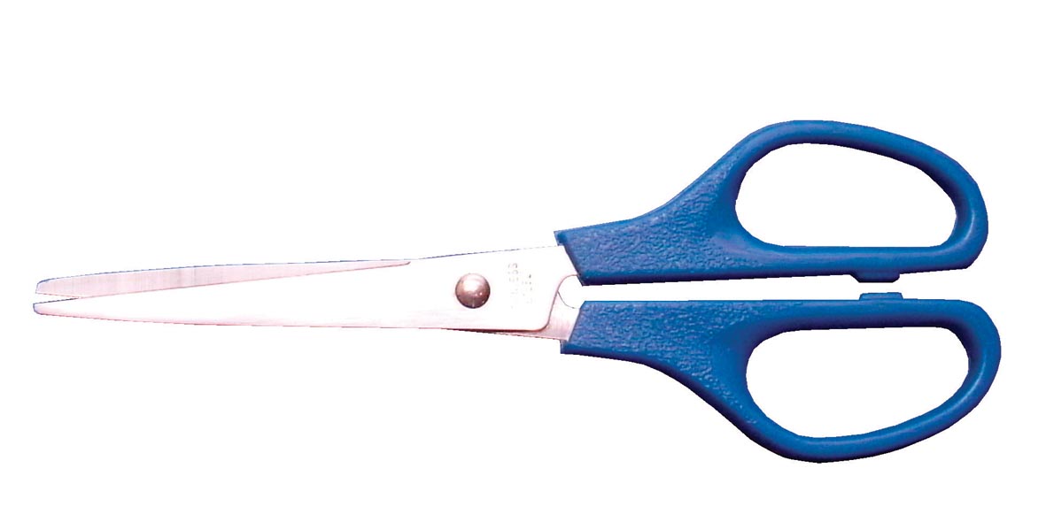 Bouhon Schaar Inox 16 Cm Voor Rechtshandigen Blauw huismerk kopen in de aanbieding