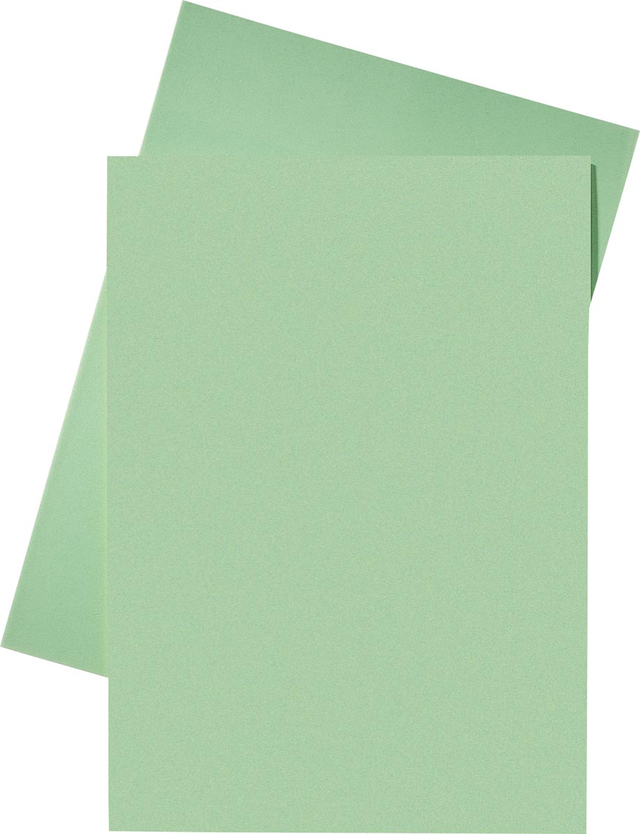 Esselte Dossiermap Groen Papier Van 80 Gm Pak 250 Stuks huismerk kopen in de aanbieding Esselte Dossiermap Groen Papier Van 80 Gm Pak 250 Stuks huismerk kopen in de aanbieding