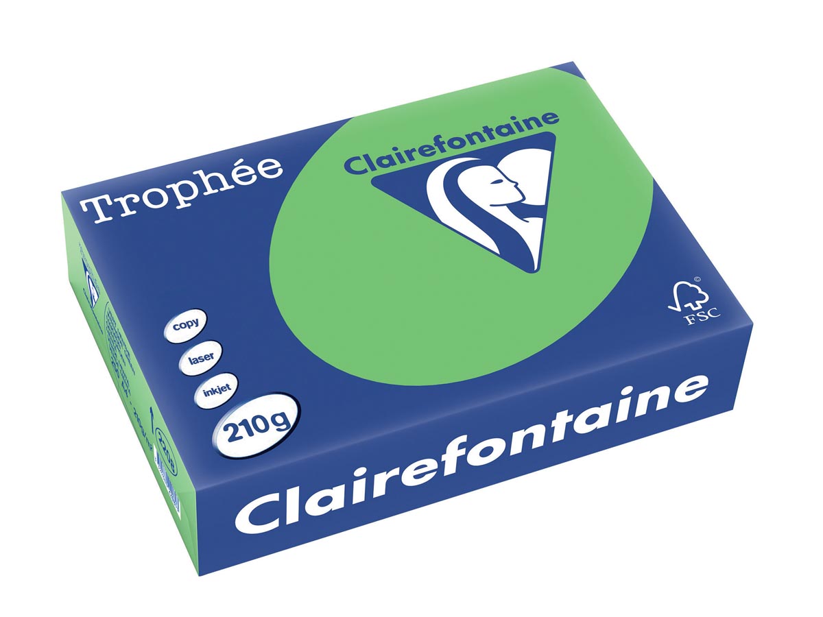 Clairefontaine Trophée Intens A4, 210 g, 250 vel, grasgroen