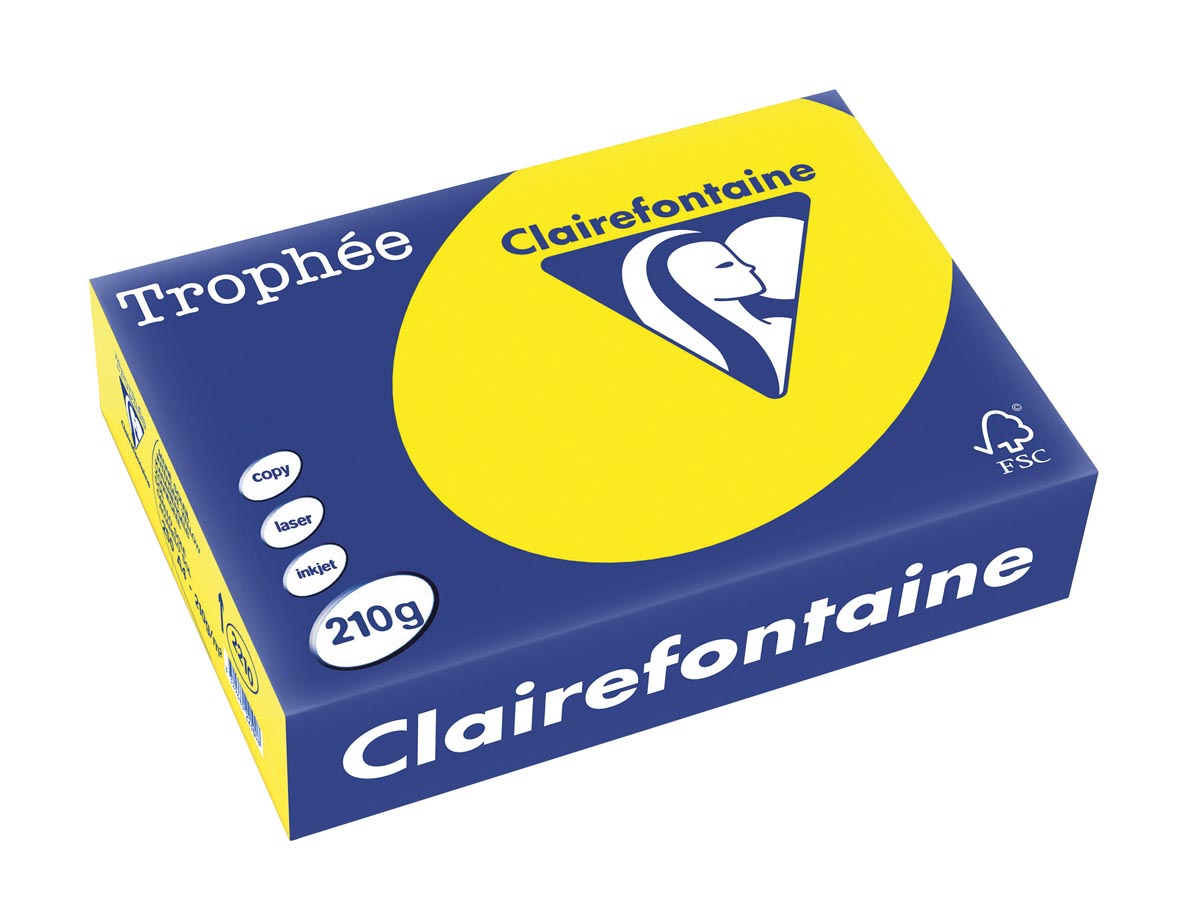 Clairefontaine Trophée Intens, gekleurd papier, A4, 210 g, 250 vel, zonnegeel afbeelding