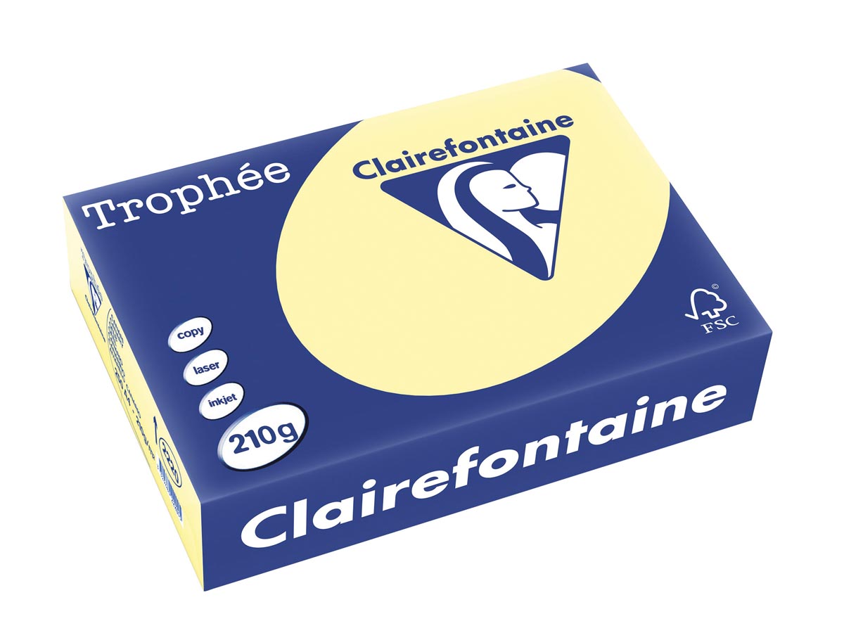 Clairefontaine Trophée Pastel, gekleurd papier, A4, 210 g, 250 vel, kanariegeel afbeelding