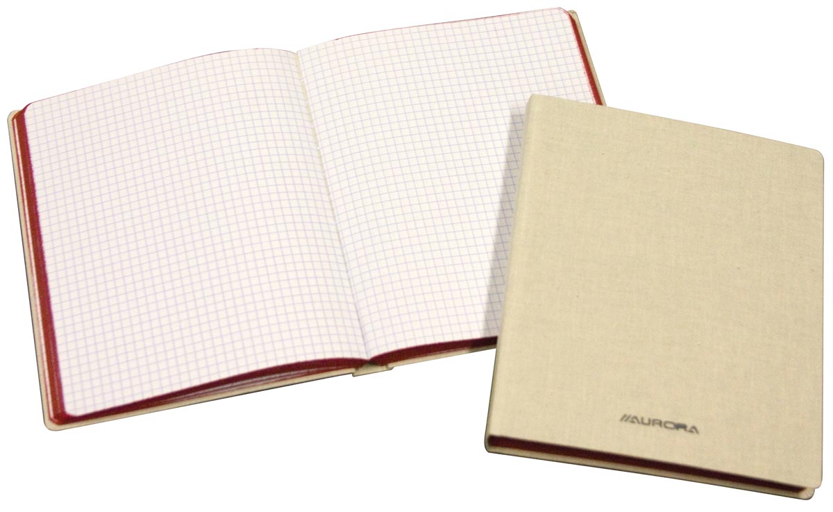 Copybook ft 14,5 x 22 cm, 384 pages-2