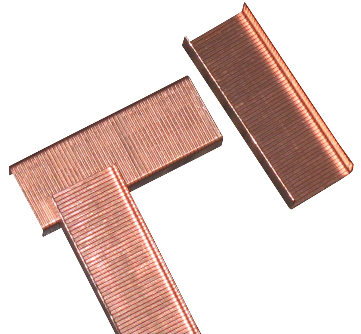 5 Star Nietjes 246 Koper Doos Van 1000 huismerk kopen in de aanbieding