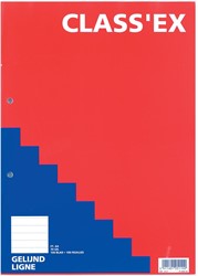 Class'ex cursusblok, gelijnd, blok van 100 vel