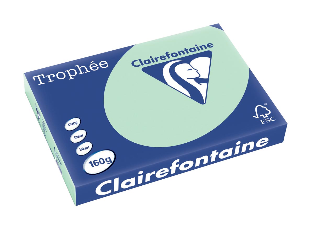 Clairefontaine Trophée Pastel, gekleurd papier, A3, 160 g, 250 vel, groen afbeelding