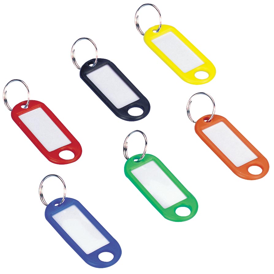 Wedo sleutelhangers met ring, geassorteerde kleuren, pak van 100 stuks