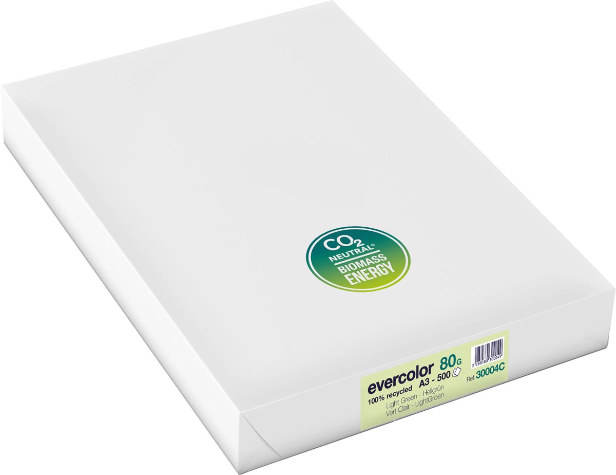 Clairefontaine Evercolor gekleurd gerecycleerd papier, A3, 80 g, 500 vel, lichtgroen afbeelding