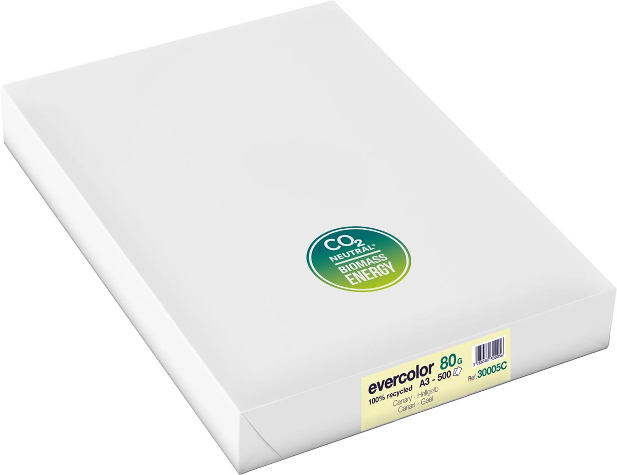 Clairefontaine Evercolor gekleurd gerecycleerd papier, A3, 80 g, 500 vel, geel afbeelding