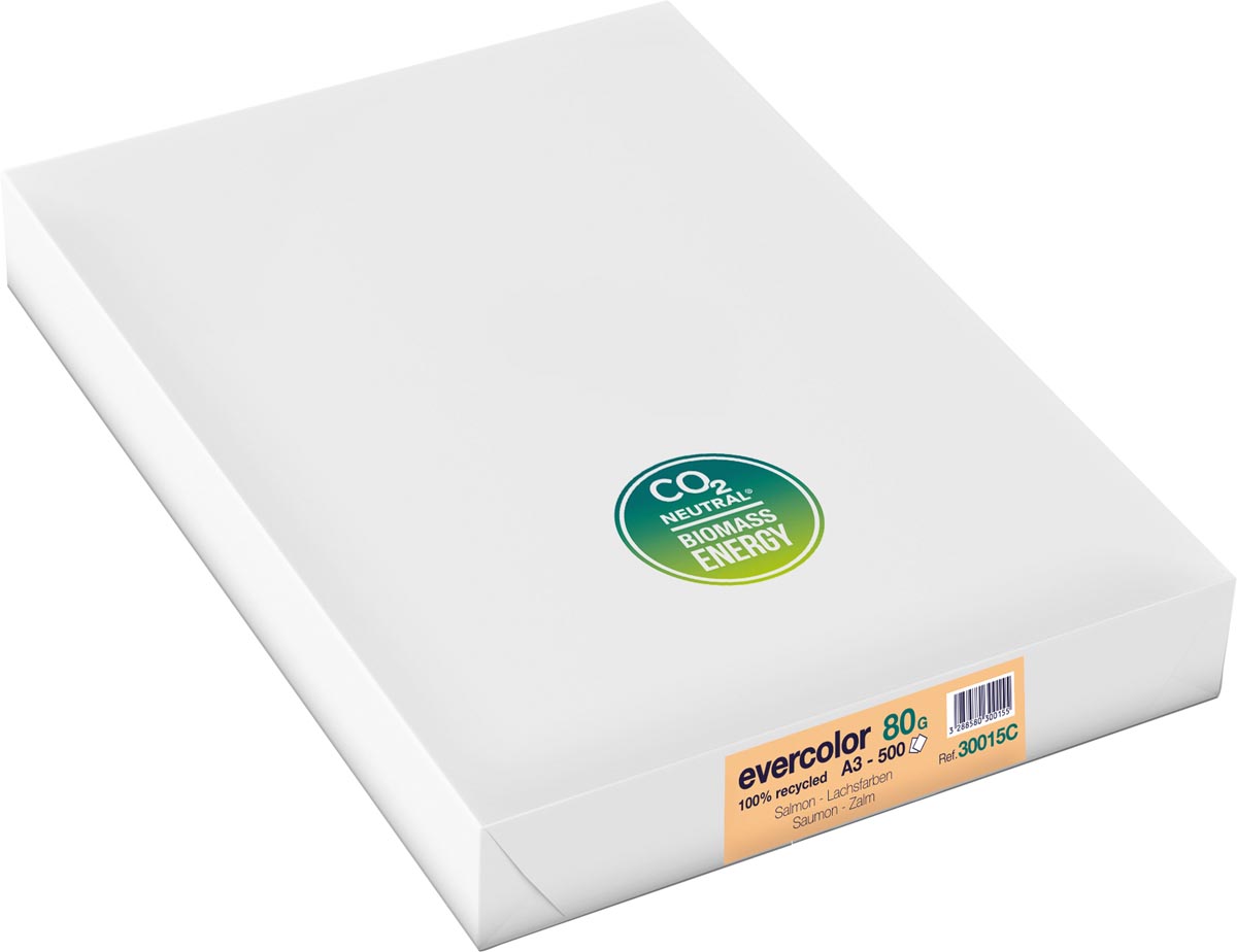 Clairefontaine Evercolor gekleurd gerecycleerd papier, A3, 80 g, 500 vel, zalm afbeelding