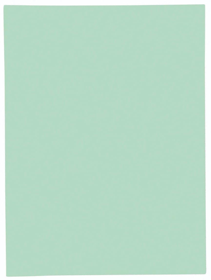 Exacompta Dossiermap Jura 160 Pak Van 100 Stuks Groen huismerk kopen in de aanbieding