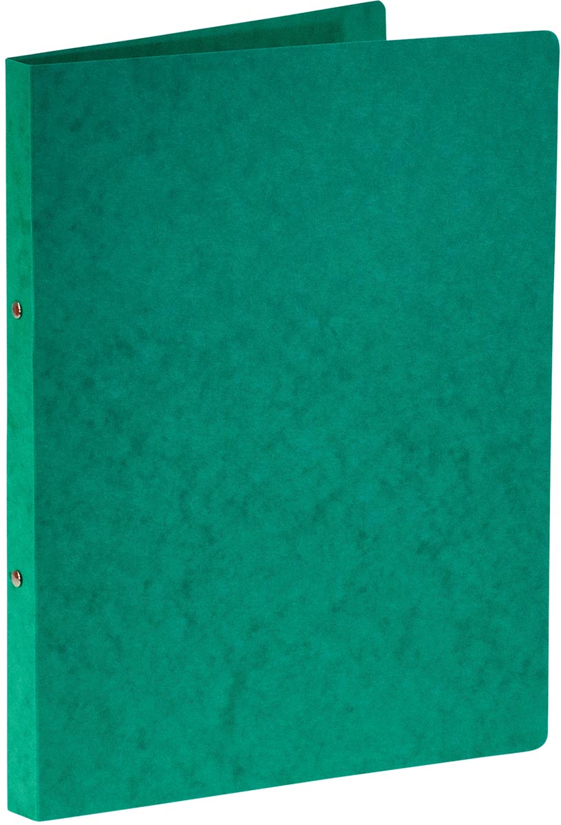 Bronyl ringmap, voor ft A4, uit glanskarton, 2 ringen van 16 mm, groen afbeelding