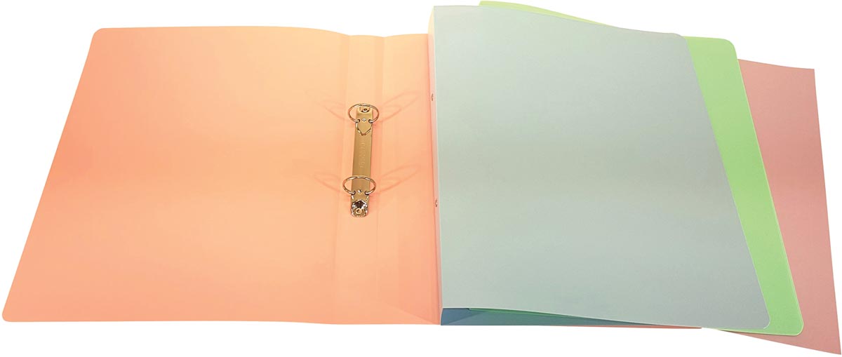 Bronyl ringmap Pastel Plus rug van 3,5 cm, ringen van 25 mm