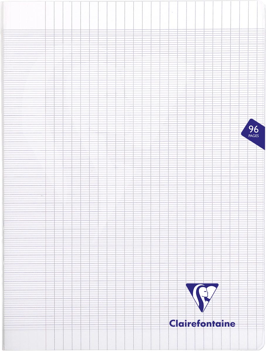 Clairefontaine schrift Mimesys voor ft A4+, 96 bladzijden, kaft in PP, seyès, transparant afbeelding