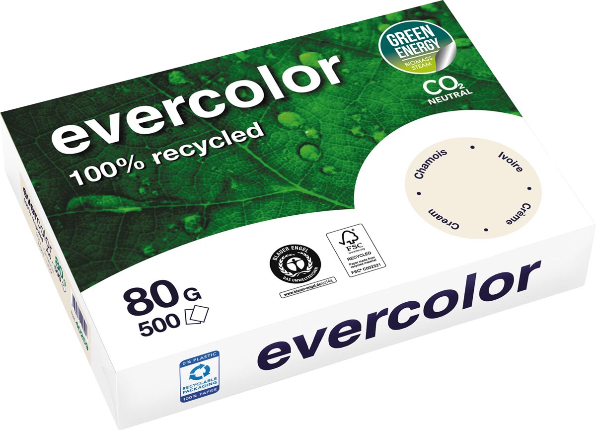 Clairefontaine Evercolor, gekleurd gerecycleerd papier, A4, 80 g, 500 vel, ivoor afbeelding