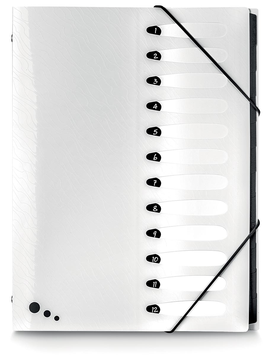 Elba Art Studio Sorteermap Ft A4 12 Vakken Uit Pp Wit huismerk kopen in de aanbieding