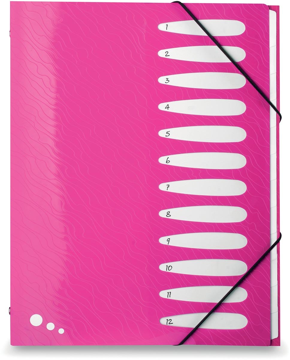 Elba Art Pop Sorteermap Ft A4 12 Vakken Uit Pp Roze huismerk kopen in de aanbieding