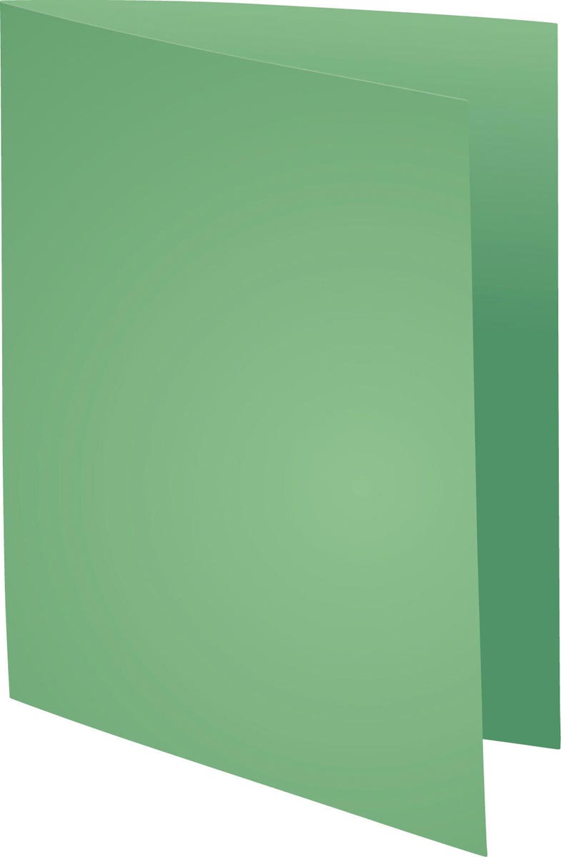 Exacompta dossiermap Forever 180, ft A4, pak van 100, vert afbeelding