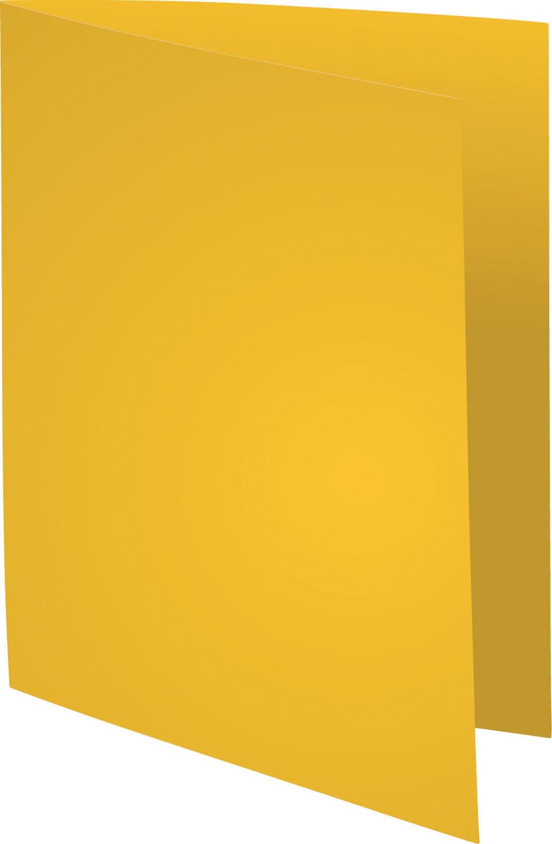Exacompta dossiermap Forever 180, ft A4, pak van 100, geel afbeelding