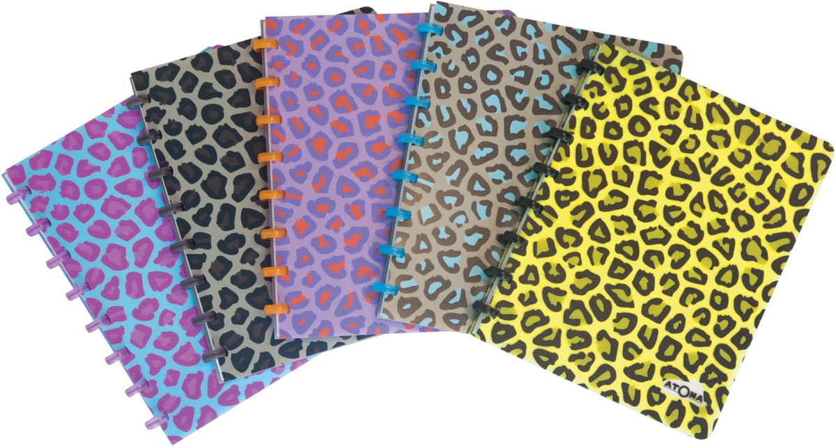 Atoma Schrift Luipaard Ft A5 144 Bladzijden Geruit Geassorteerde Kleuren huismerk kopen in de aanbieding