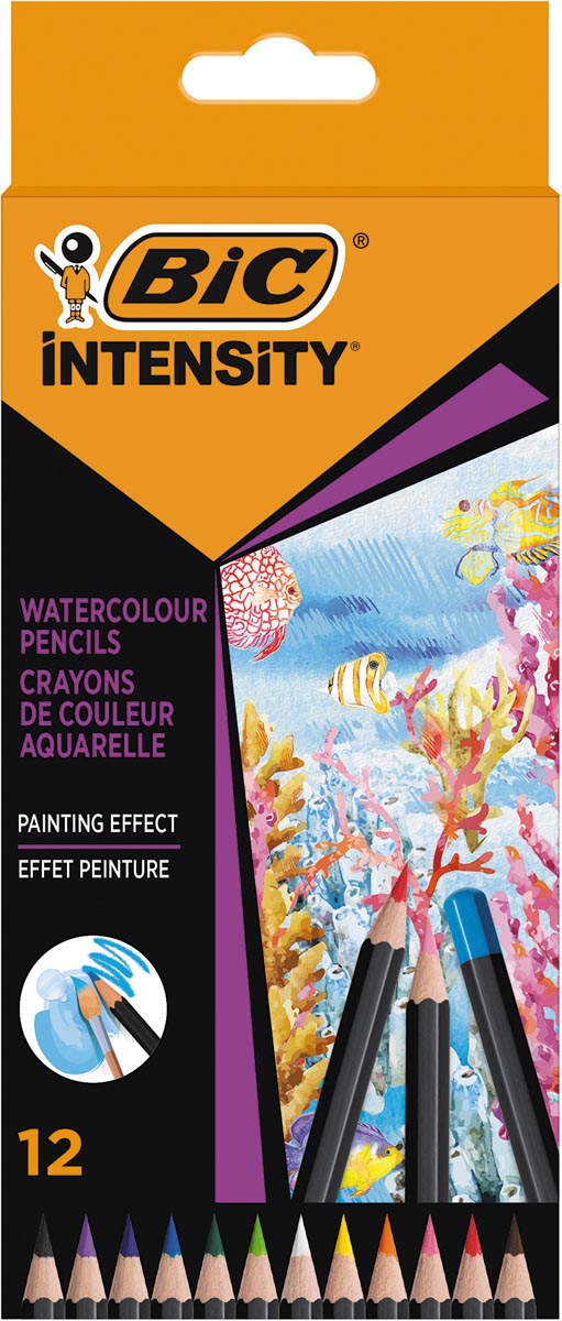 Bic aquarelpotlood Intensity, etui van 12 stuks afbeelding