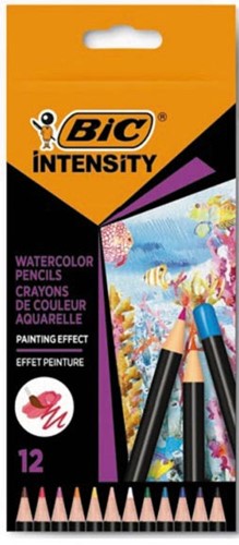 Bic aquarelpotlood Intensity, etui van 12 stuks-2