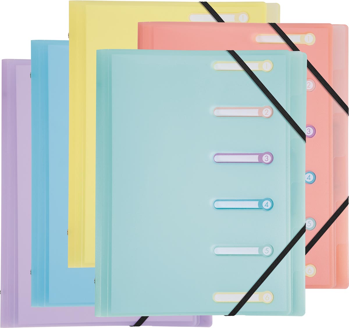 Exacompta Chromaline Sorteerma, uit PP, met 6 vakken, geassorteerde pastelkleuren Exacompta Chromaline Sorteerma, uit PP, met 6 vakken, geassorteerde pastelkleuren
