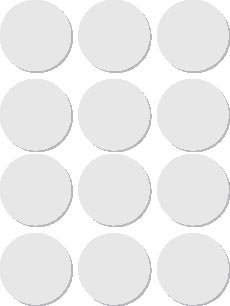 Apli ronde etiketten in etui diameter 25 mm, wit, 72 stuks, 12 per blad (2664)