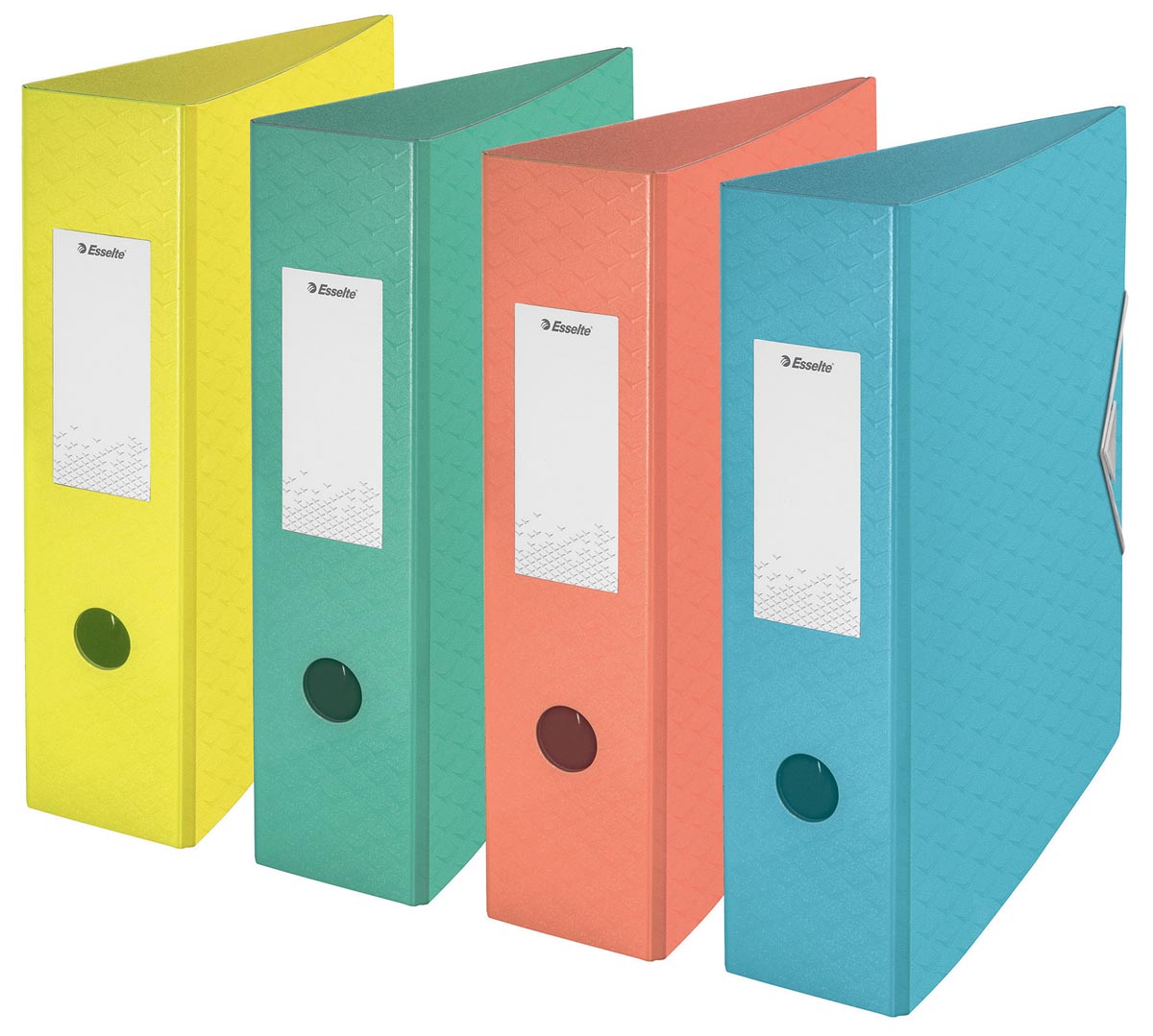 Esselte Ordner Colourice A4 Uit Polyfoam Rug Van 75 Cm Geassorteerde Kleuren huismerk kopen in de aanbieding Esselte Ordner Colourice A4 Uit Polyfoam Rug Van 75 Cm Geassorteerde Kleuren huismerk kopen in de aanbieding